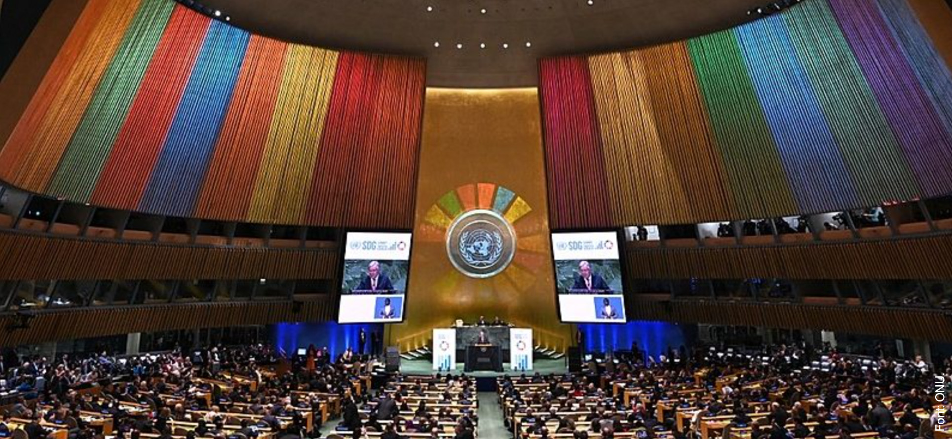 Alerta! Informe sobre conflictos, derechos humanos y construcción de paz